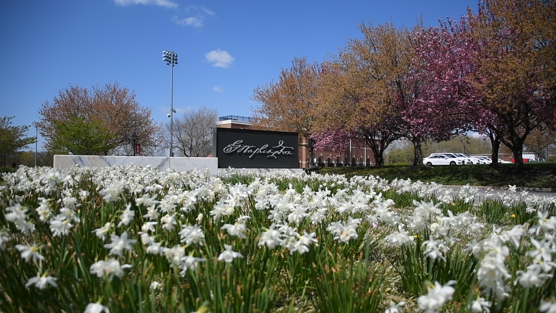 GWashington signature in flower garden