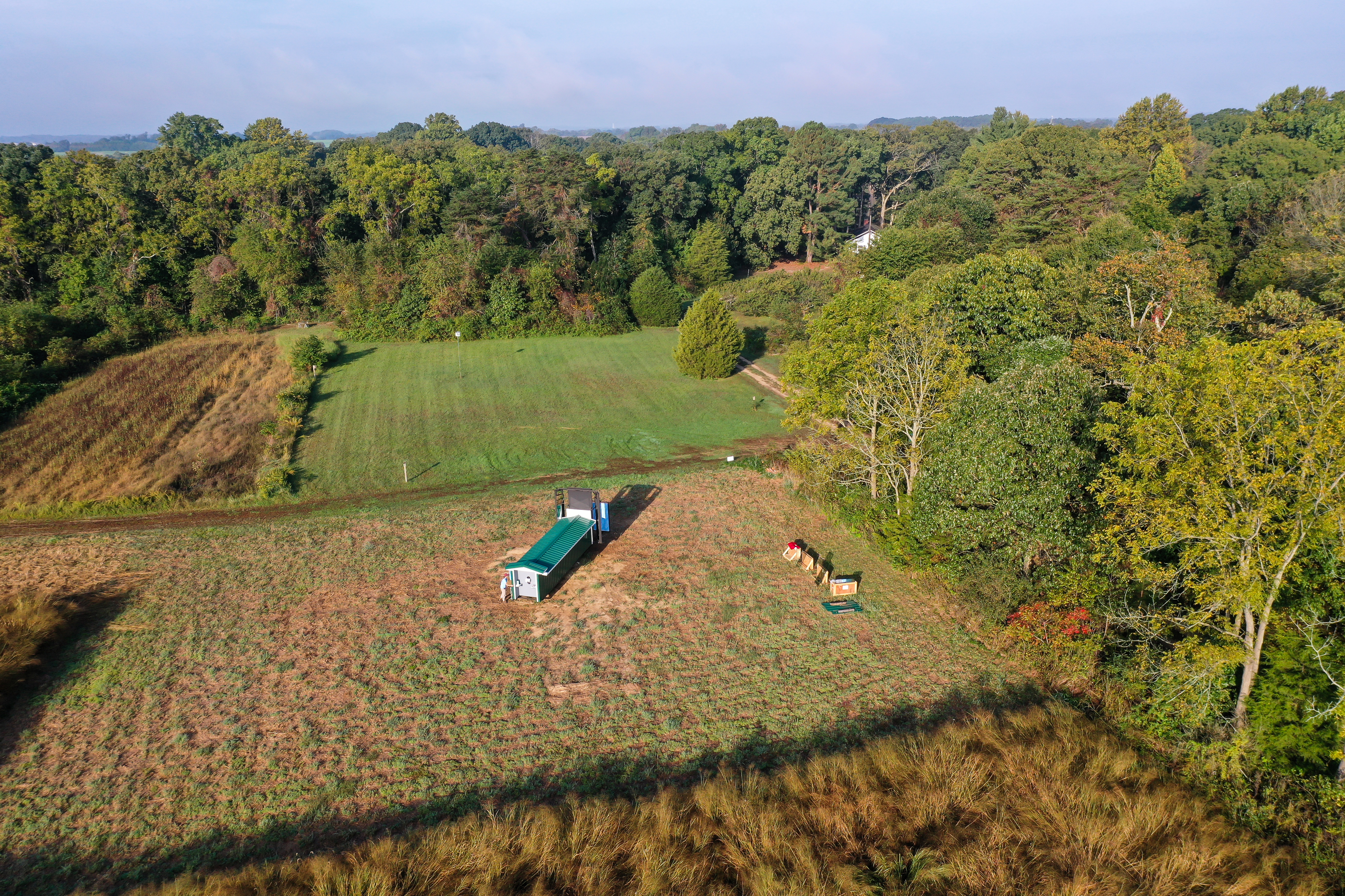 Sky view of bird tunnel 