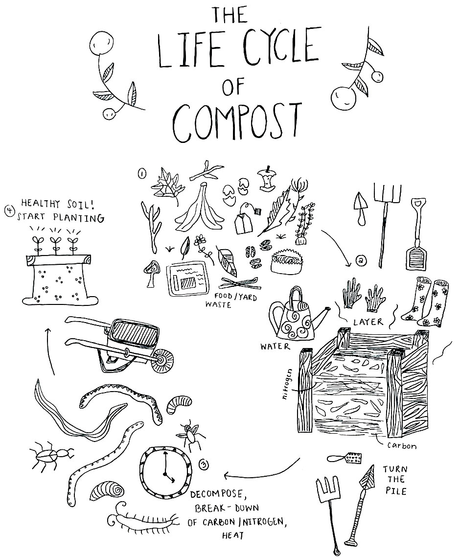 Sketch of the Life Cycle of Compost