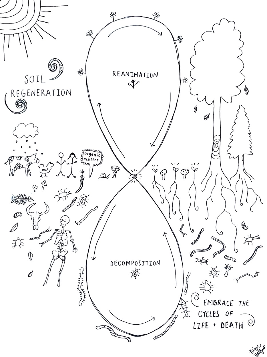 soil cycles