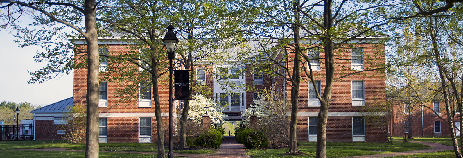 Morris Hall with trees