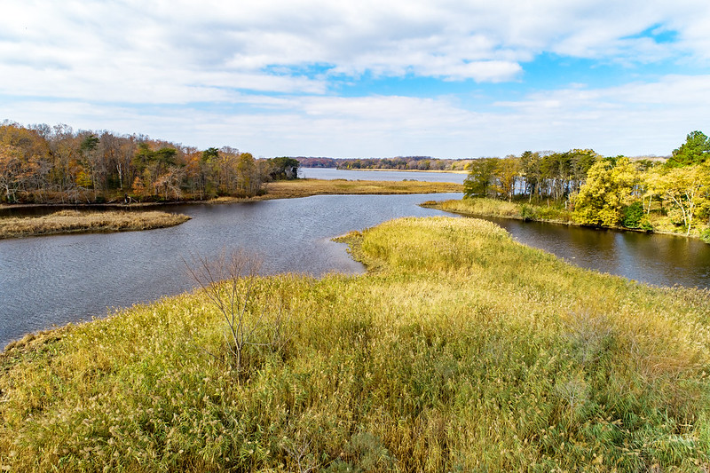 Wetlands