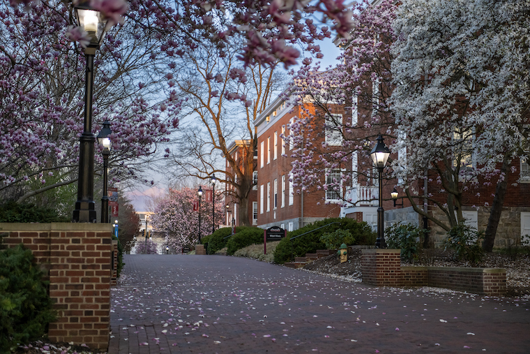 Washington College Cater Walk in the evening. 