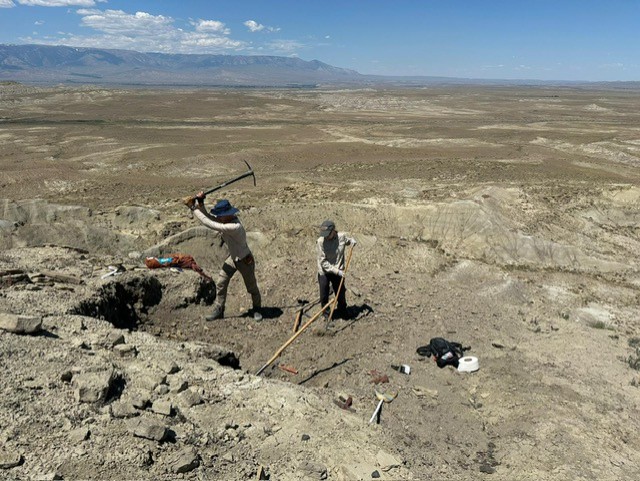 Washington College student Rachel Morgen looks for fossils in Wyoming. 