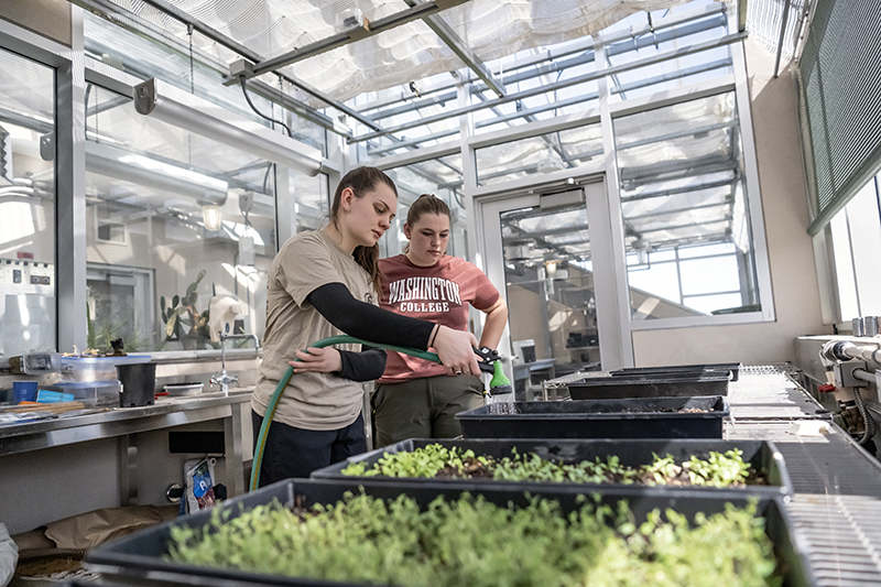 Two students water seeds in the greenhouse