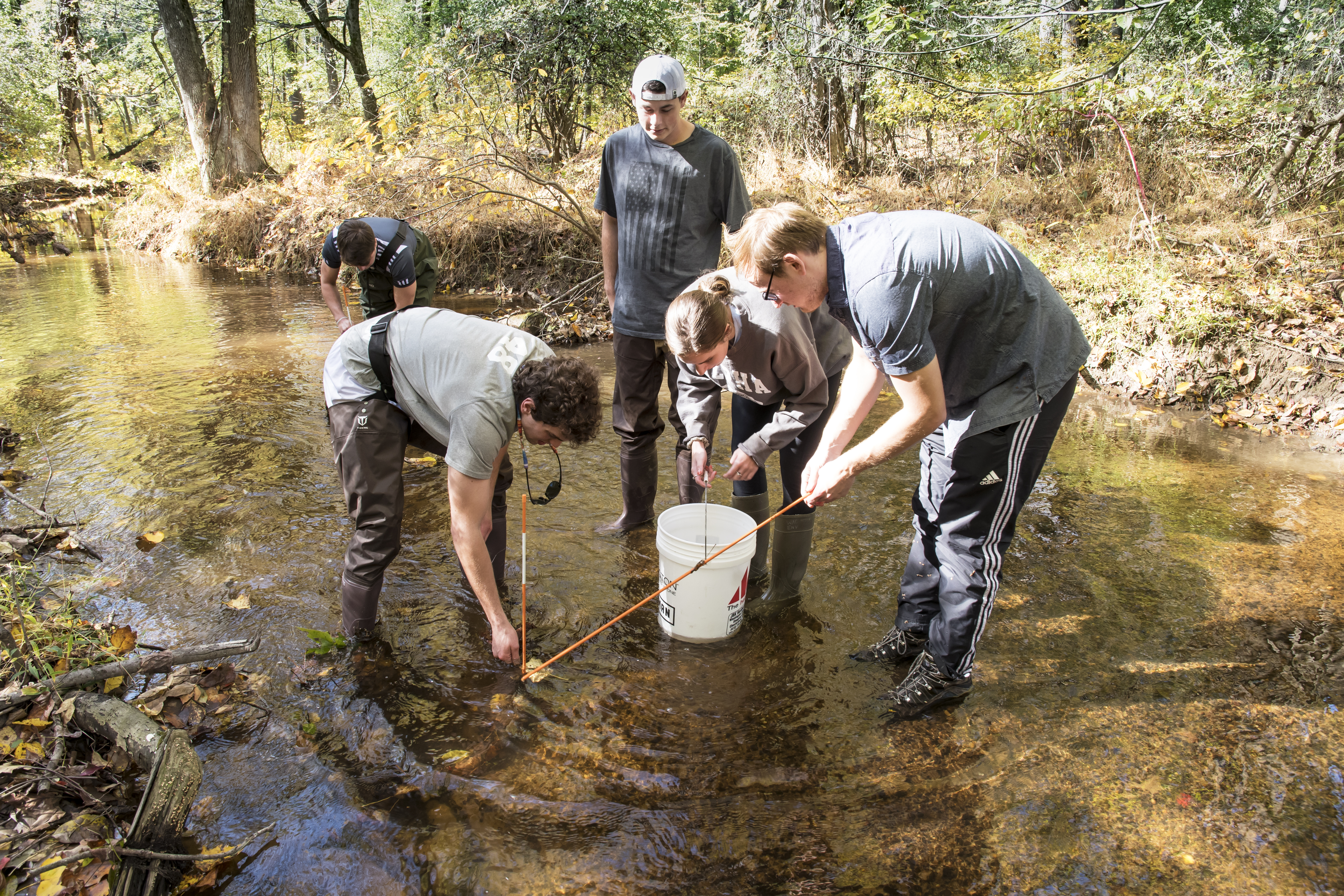 students standing in a creek