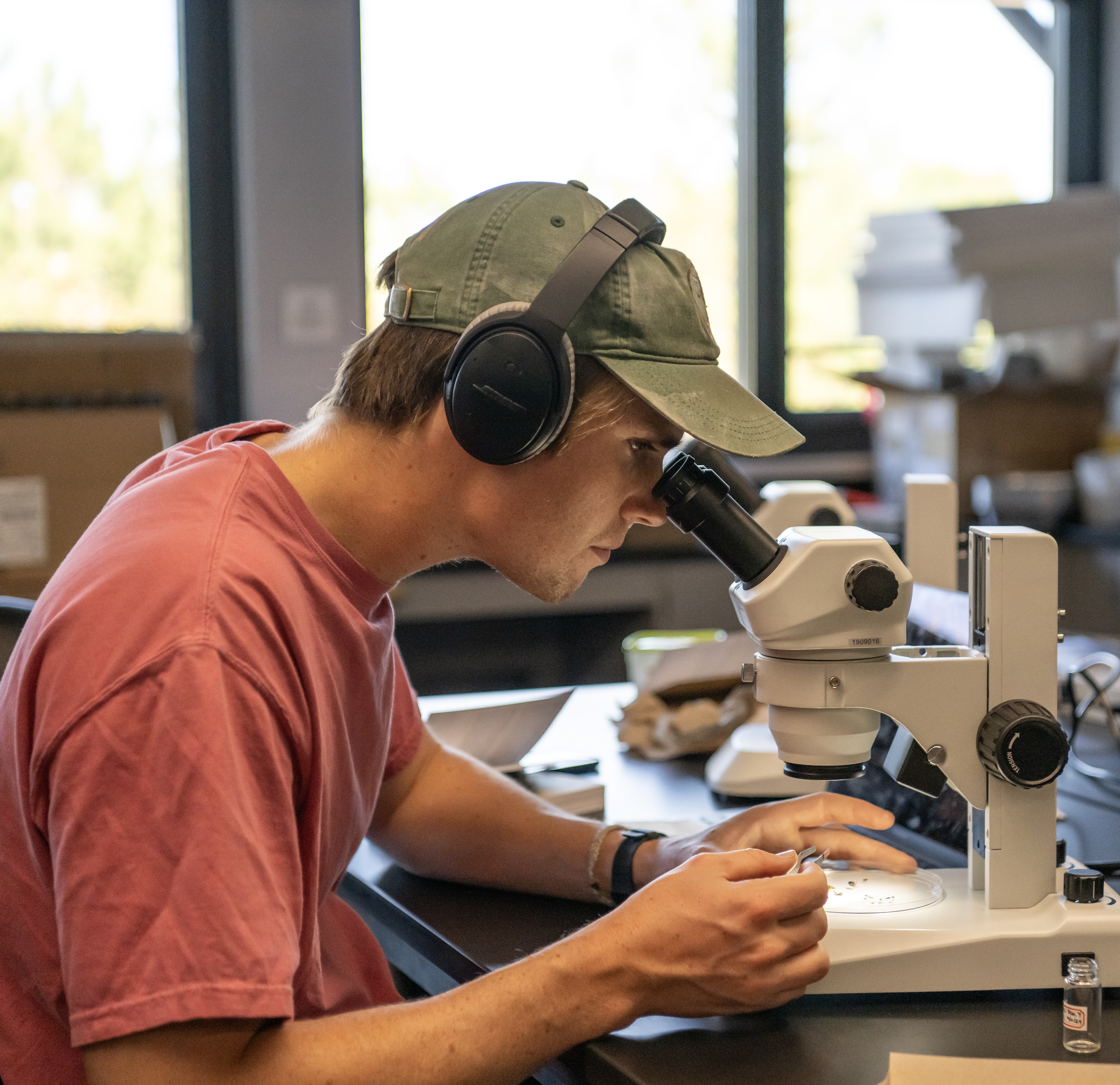 Student using microscope