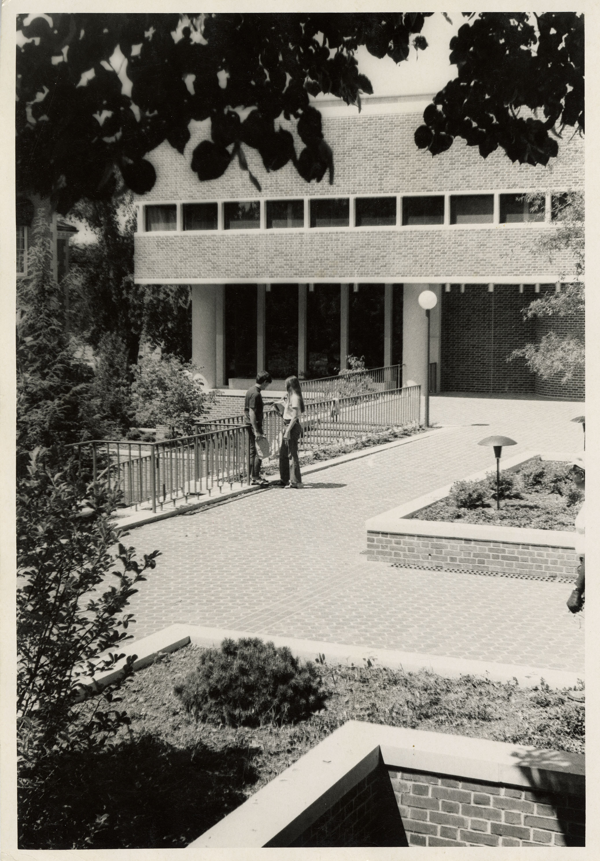 of students on terrace