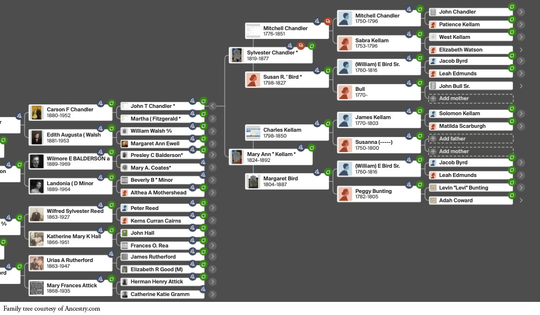 Ancestry family tree