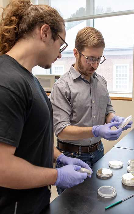 David Estes '24 looks at petri dish that chemistry professor Daniel May is showing him