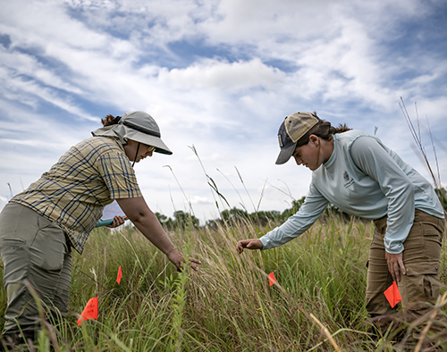 student and professor in grassland