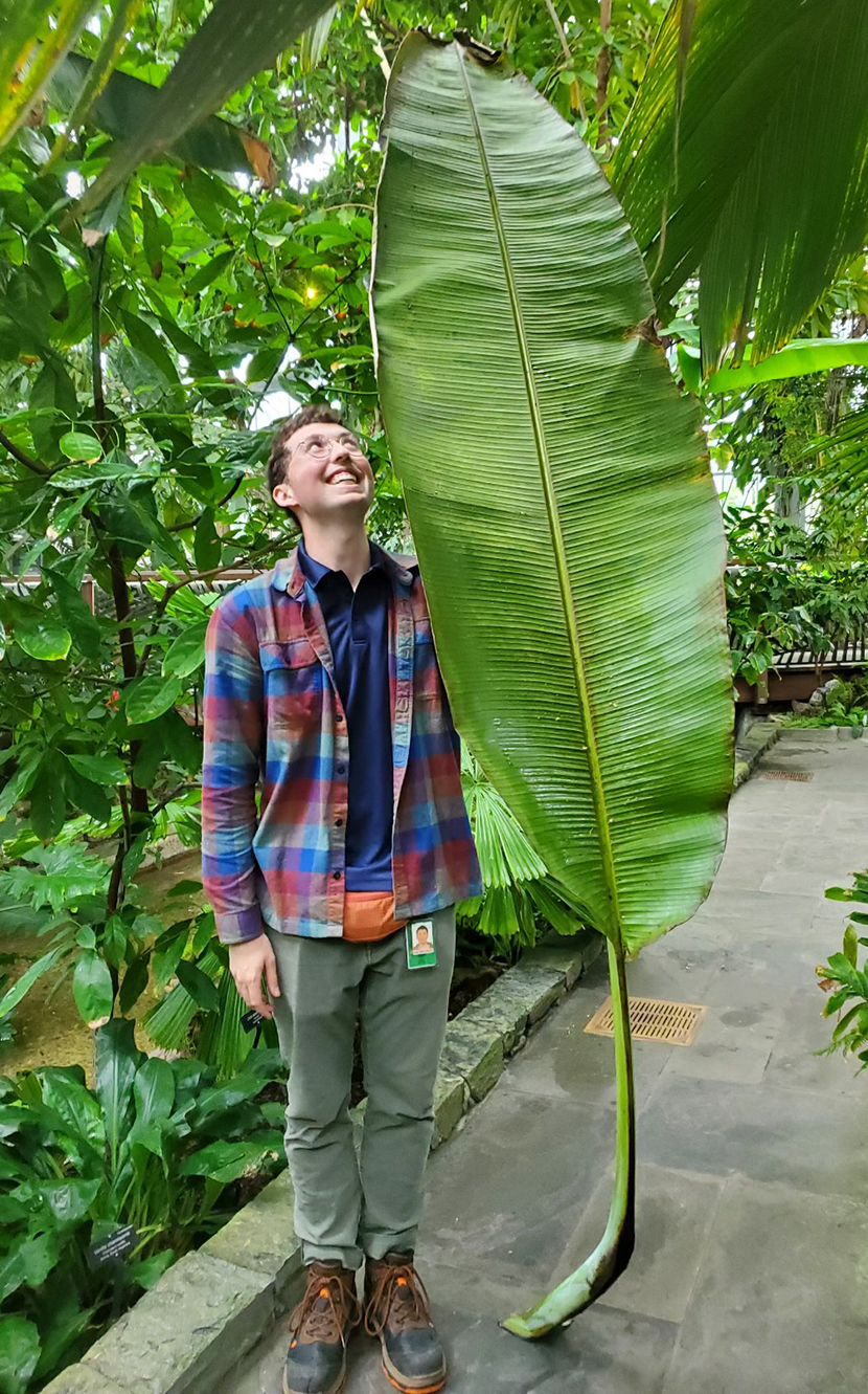 Nate Braddock '22 holds up a giant leaf