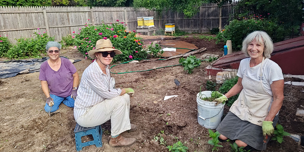 Art House Garden and Apiary