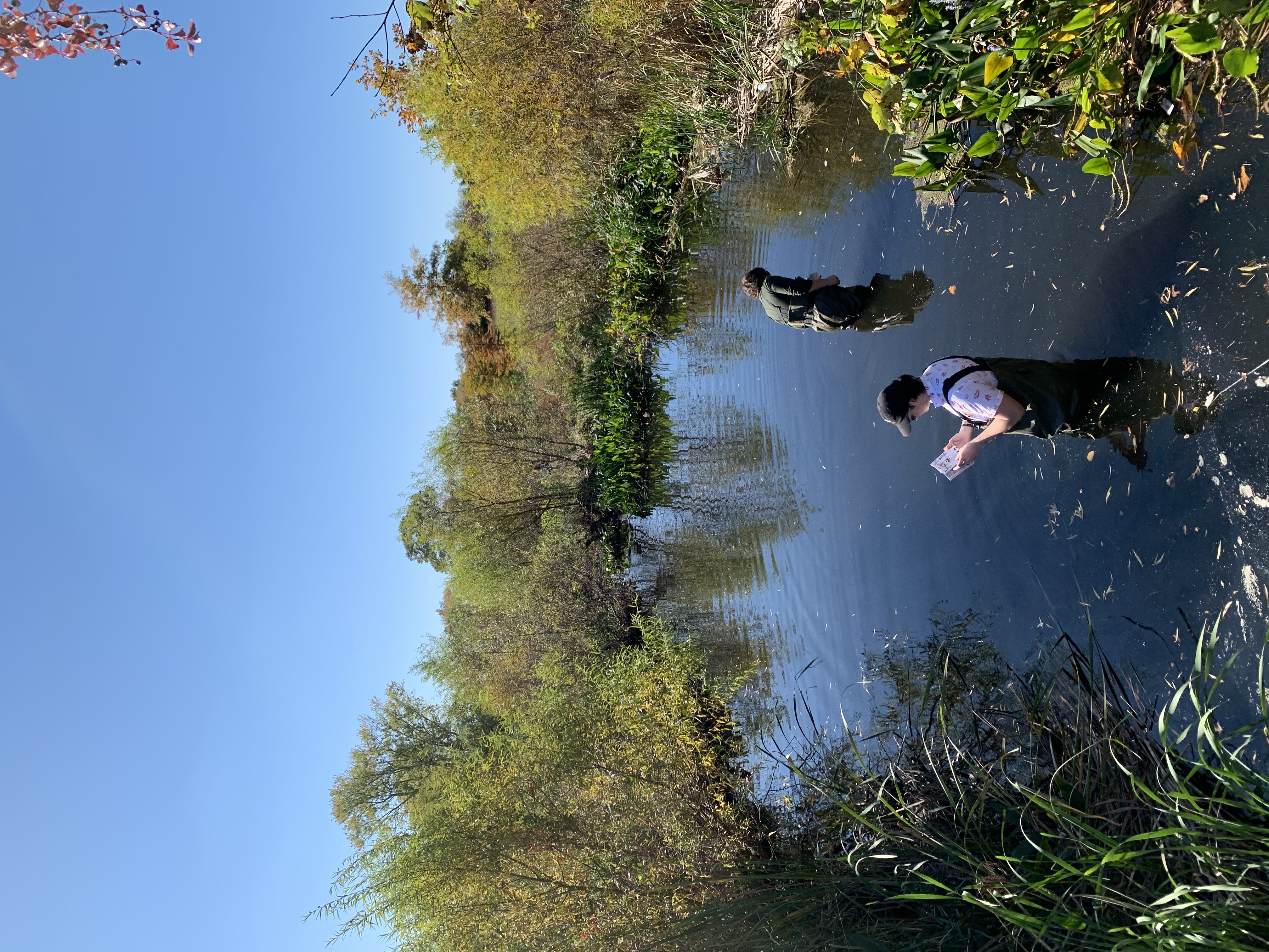 Students wading in water for their studies